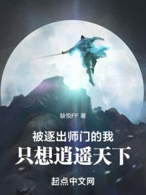陨星之路