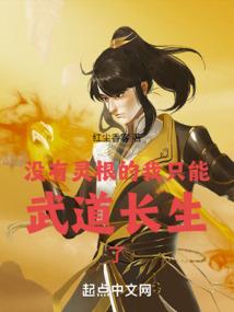 四力龙翼