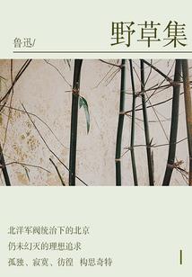 魔幻影视系统