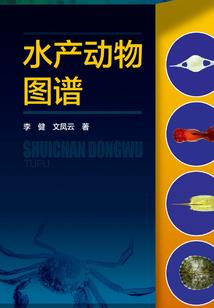 喜你茶香过半