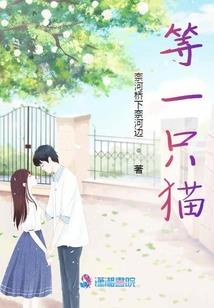 豪情错付：再爱你一次