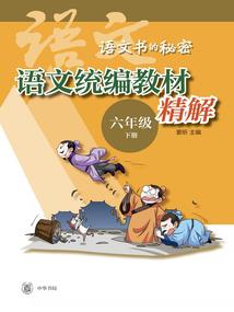 双面人之黑夜传说