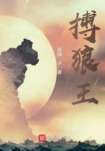 圣盗巅峰