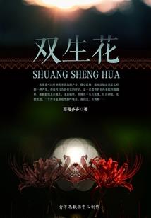 不朽帝神录