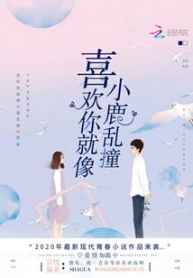 《我的极品人生》