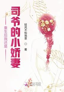 主公系统