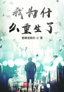 史蒂夫大冒险