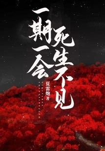 曼哈顿恶魔岛疯人院