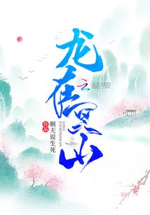 墓王传奇