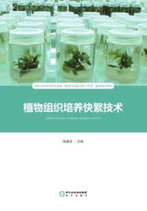 恐慌电梯