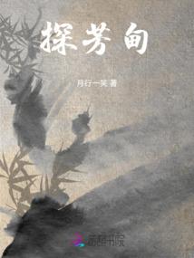 启狼系统传