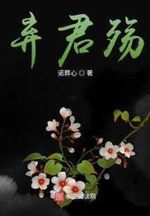 复仇千金冷面杀手