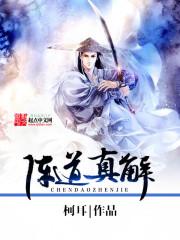 美女合伙人
