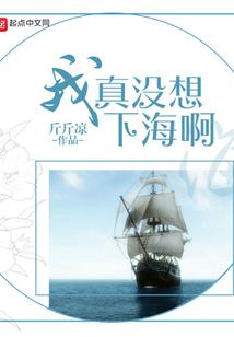 海贼王之过客