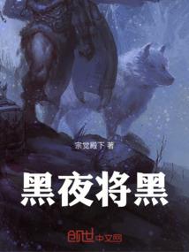 宠物小精灵之叶天