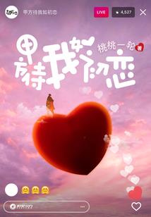 光之所遇