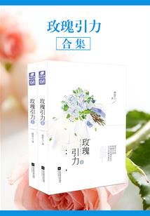 流浪使徒