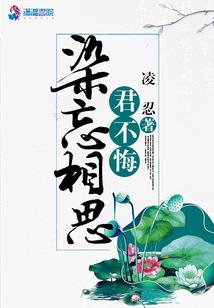 情深何以苏辛哲