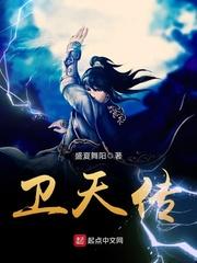 一个杀手的穿越之旅