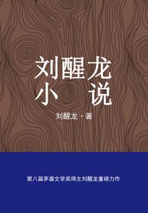 域界史诗