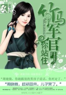 黑罩冰魔帝