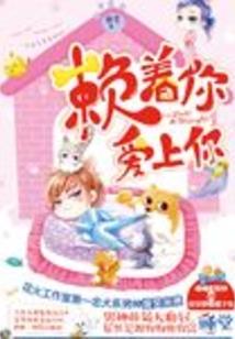 神奇宝贝之人灵之恋
