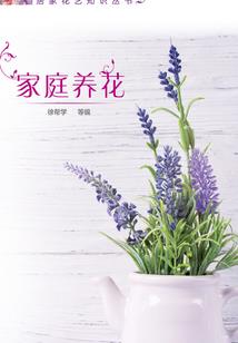 你，是最闪耀的星