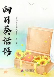 四爷的替嫁新娘