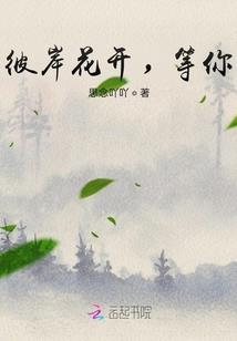 异世孤岛记录