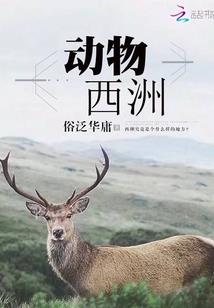 嫉妒心起