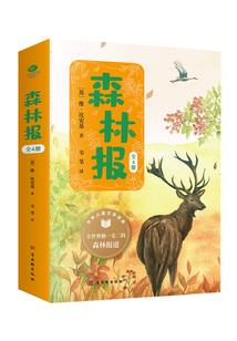 宠女的下堂夫