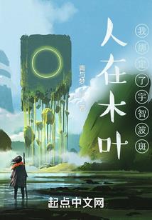 梵域劫
