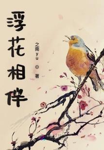 至尊铠甲