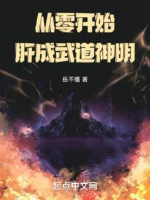 旋翼九天