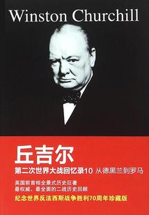 一石N鸟