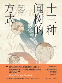 星斗战纪
