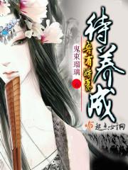 阳光灿烂白杨树