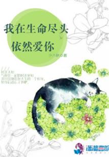 超级全职修仙系统