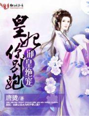 完美盗涯