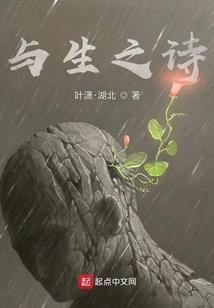 云焕纪事
