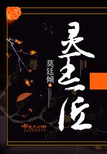婢女宝璐传