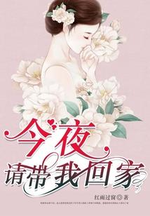 全职元素师