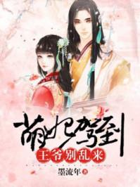 魔法骑士之唯我独尊