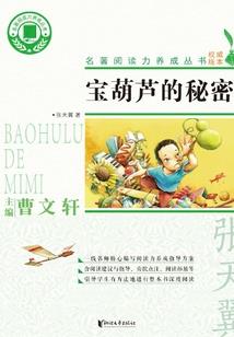 法师娘的大冒险
