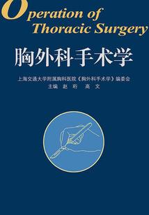 大佣兵记