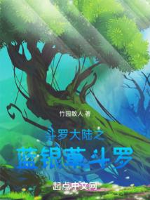 一个孤独症的剑客