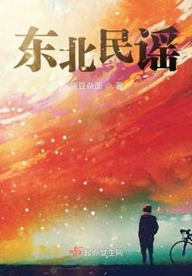 回到民国的远征军