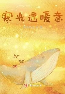 肉搏专家