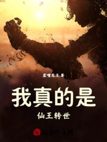 龙国星辰