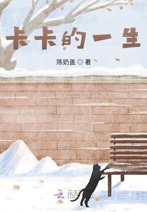 世界战绩录